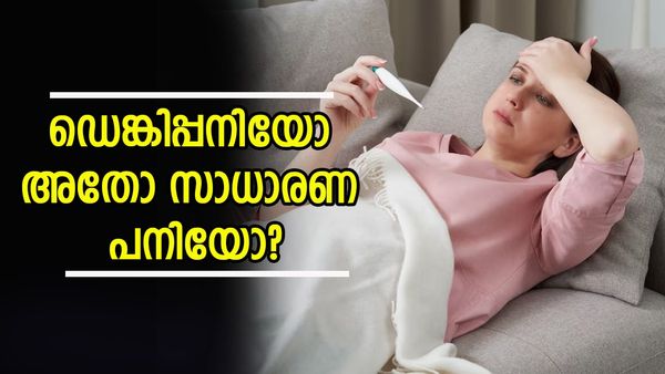 ഡെങ്കിപ്പനിയാണോ സാധാരണ പനിയാണോ എന്ന് എങ്ങനെ തിരിച്ചറിയാം? രോ​ഗലക്ഷണങ്ങൾ എന്തൊക്കെ