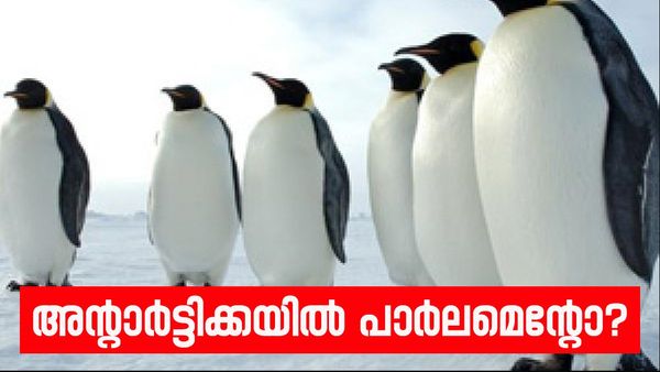 അൻ്റാർട്ടിക് പാർലമെൻ്റ് സമ്മേളനം ഇന്ത്യയിൽ; കൊച്ചി ആതിഥേയത്വം വഹിക്കുന്നു, വിശദമായി അറിയാം