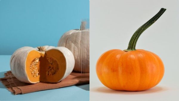 മത്തങ്ങ പൊളിയാണ് മക്കളേ, കുടവയറും പൊണ്ണത്തടിയും പമ്പ കടക്കും; ഇങ്ങനെ കഴിച്ചുനോക്കൂ