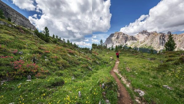 'വാലി ഓഫ് ഫ്ലവേഴ്സ്' ട്രെക്കിങ് ജൂൺ 1 മുതൽ; ഇനി കാണാം ആ അത്ഭുത കാഴ്ചകൾ