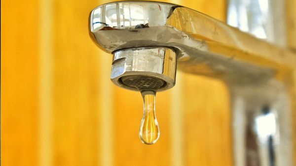 വറ്റിവരണ്ട് കിണറുകളും കുളങ്ങളും, നദികളില്‍ ജലനിരപ്പ് താഴുന്നു; പാലായില്‍ കുടിവെള്ളക്ഷാമം