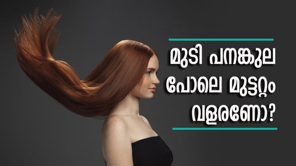 ഒരു തുള്ളി ഇഞ്ചിനീര് മതി, താരനും പോകും ഏത് തരം മുടിയും വളരുകയും ചെയ്യും; ഇങ്ങനെ ചെയ്തുനോക്കൂ