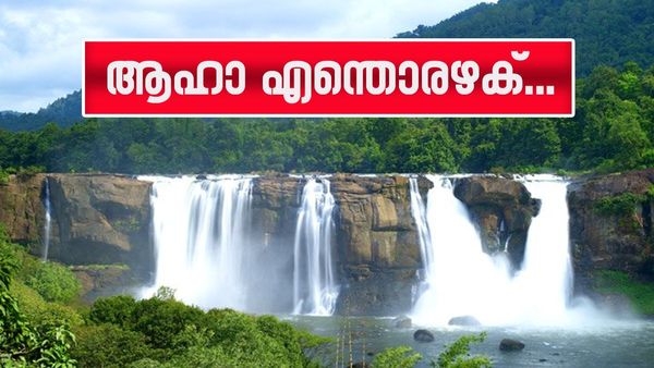 മഴയിൽ കുതിർന്ന് നിൽക്കുന്ന അതിരപ്പിള്ളിയും വാഴച്ചാലും; ഈ കാഴ്‌ച അതിശയിപ്പിക്കും, അടിച്ച് കേറി വാ...