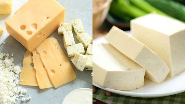 പാല്‍ക്കട്ടി കണ്ടാല്‍ ഇനി വിടണ്ട, കുടവയര്‍ കുറഞ്ഞിരിക്കും; ഇങ്ങനെ ഒന്ന് കഴിച്ചുനോക്കൂ