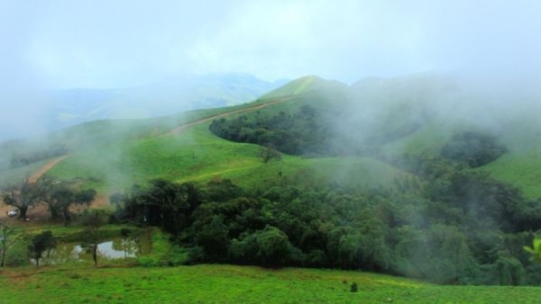 മഴയെത്തിയില്ലേ, എന്നാൽ കൂർഗിലേക്ക് ഒരു യാത്ര പോയാലോ? നാരങ്ങാ തോട്ടങ്ങൾ മതിവരുവോളം കാണാം