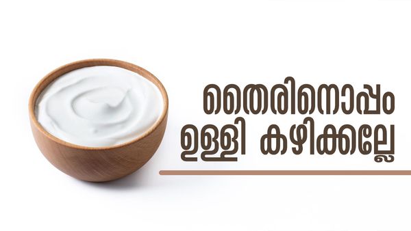 തൈരില്‍ ഉള്ളിയിട്ട് കഴിക്കാറുണ്ടോ..? ഉടന്‍ നിര്‍ത്തിക്കോ, ഈ ഭക്ഷണങ്ങള്‍ക്കൊപ്പം തൈര് കഴിച്ചാല്‍ ആപത്ത്