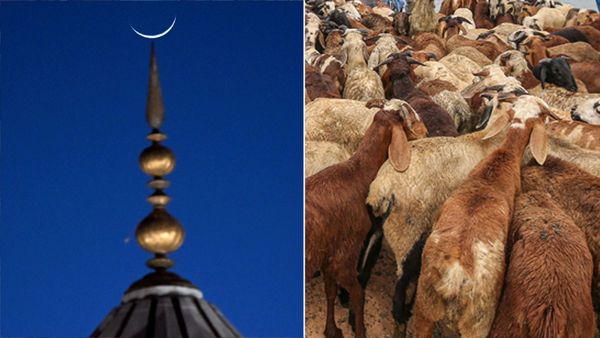 ബലിപെരുന്നാള്‍: അബുദാബിയിലെ കശാപ്പുശാലകള്‍ സജ്ജം, എല്ലാ ദിവസവും പ്രവര്‍ത്തിക്കും