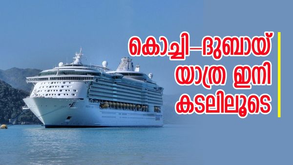 കൊച്ചി-ദുബായ് കപ്പൽ യാത്ര; കാത്തിരിപ്പ് നീളില്ല, ഏജൻസികളെ തിരഞ്ഞെടുത്തുവെന്ന് മന്ത്രി വിഎൻ വാസവൻ