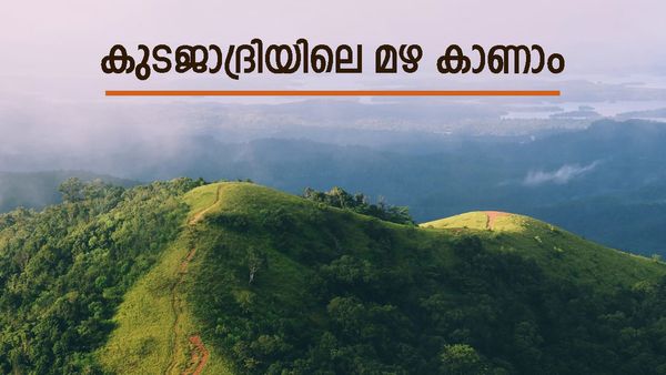 കുടജാദ്രിയിലെ മഴ കണ്ടിട്ടുണ്ടോ?; മഴക്കാടിന് നടുവിലൂടെ ഒരുഗ്രൻ യാത്ര..ഓഫ് റോഡും ട്രെക്കിങും