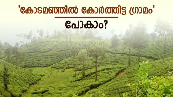 മഴ പെയ്തിറങ്ങിയ കാനനപാതയിലൂടെ ഒരു യാത്ര പോയാലോ; എജ്ജാതി വൈബ്, ഇതാ പാക്കേജ്