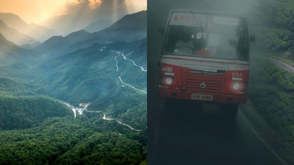  എട മോന,മഴയല്ലേ..മാമലക്കണ്ടത്തേക്ക് പോരെ..; കാട്ടിനുള്ളിലൂടെ മഴ നനഞ്ഞ്,ആനകളെ കണ്ട് പോകാം
