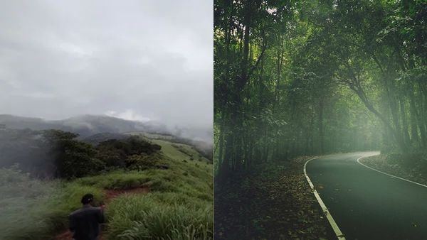 മഴയും കോടയും ആസ്വദിക്കണോ? സഞ്ചാരികളെ ഇതിലെ..കേരളത്തിൽ നിർബന്ധമായും പോകണം ഇവിടെ