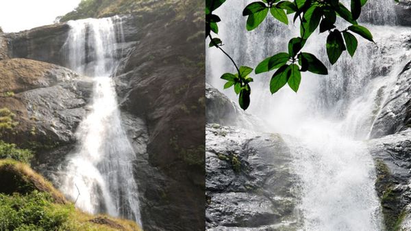 കണ്ടാലും കണ്ടാലും മതിവരാത്ത പാലരുവി; ഒരു മഴ കൂടിയുണ്ടേൽ പൊളിക്കും, കൊല്ലത്തെ മനോഹര കാഴ്‌ച