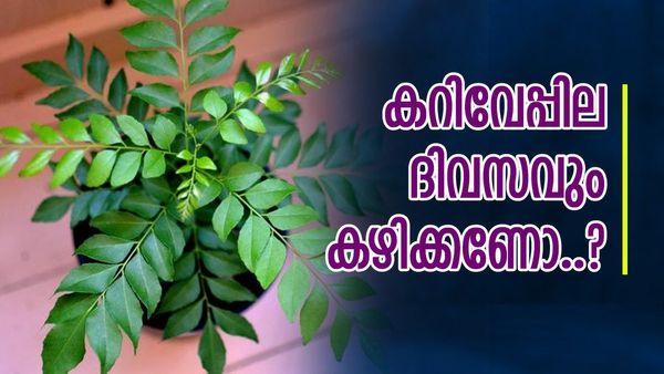 ദിവസവും കറിവേപ്പില കഴിക്കാറുണ്ടോ? ​ഗുണമുണ്ടോ? തീർച്ചയായും നിങ്ങൾ ഇക്കാര്യങ്ങൾ അറിയണം
