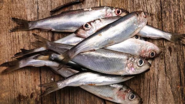 സംസ്ഥാനത്ത് മീൻവില കത്തിക്കയറുന്നു; ഒരു കിലോ മത്തിക്ക് 300 രൂപ, ഇനിയും കൂടിയേക്കും..