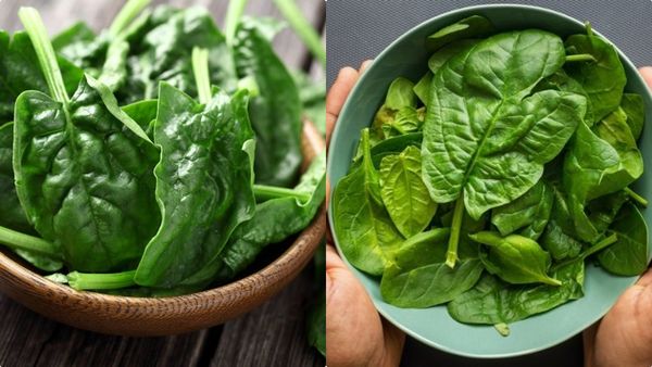 ചീര പൊളിയാണ്, കുടവയര്‍ കുറയ്ക്കണമെങ്കില്‍ കഷ്ടപ്പെടണം; മാറ്റങ്ങള്‍ക്ക് ദാ ഇങ്ങനൊന്ന് കഴിച്ചു നോക്കൂ