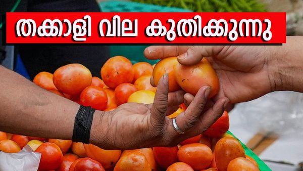 സെഞ്ച്വറി അടിച്ച് തക്കാളി വില; പച്ചക്കറി വില വർധനയിൽ പൊറുതിമുട്ടി ജനങ്ങൾ, മീനിനും ക്ഷാമം