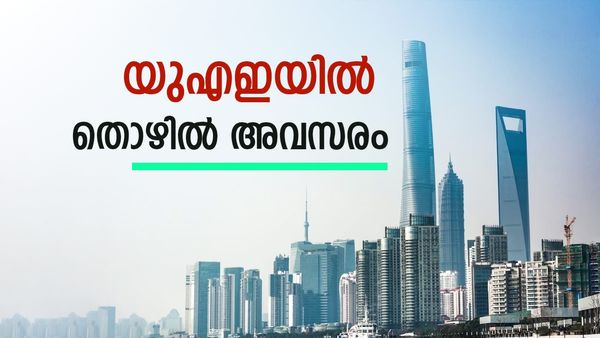 യുഎഇയിൽ ജോലി വേണോ? സുവർണാവസരം, സംസ്ഥാന സർക്കാർ വഴി നിയമനം..ചെയ്യേണ്ടത് ഇത്രമാത്രം