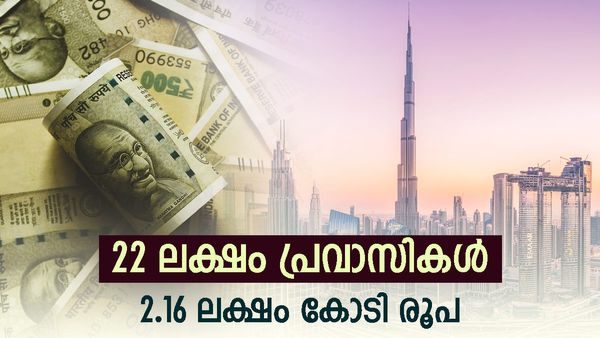 പ്രവാസികള്‍ തന്നെ കേരളത്തിന്റെ നട്ടെല്ല്: 2023 ല്‍ മാത്രം നാട്ടിലേക്ക് അയച്ചത് 2.26 ലക്ഷം കോടി രൂപ