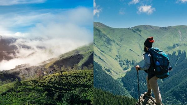 മഴയും മഞ്ഞും ചേരുന്ന വാഗമൺ;പൈൻ മരങ്ങൾക്കിടയിലൂടെ നടക്കാം, മൊട്ടക്കുന്ന് കയറാം