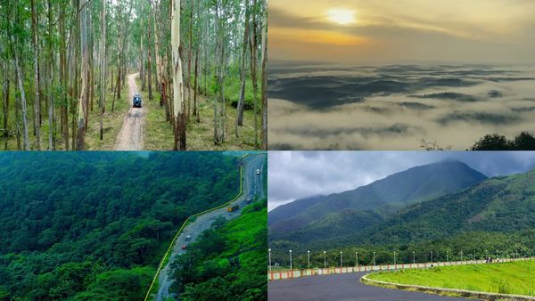 മഴ, താമരശ്ശേരി ചുരം, കട്ടൻ ചായ; ആഹാ അന്തസ്, മൺസൂണിൽ വയനാട്ടിൽ കറങ്ങാൻ പറ്റിയ സ്പോട്ടുകൾ ഇതാ