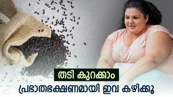 ചിയ പുഡ്ഡിങ് മുതൽ വെജ്ജി ഓംലെറ്റ് വരെ;  തടി നല്ല ഈസിയായി കുറക്കാം, പ്രഭാത ഭക്ഷണം ഇങ്ങനെ കഴിക്കാം