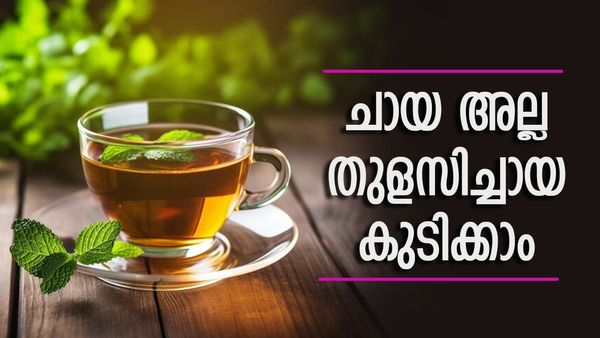 രാവിലെ ചായയ്ക്ക് പകരം തുളിസിച്ചായ കുടിച്ച് നോക്കൂ; മഴക്കാലത്ത് ഇതിനെക്കാൾ മികച്ചാെരു പാനീയമില്ല
