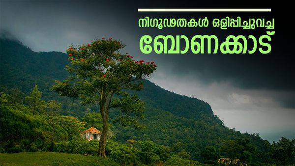 ആത്മാക്കൾ ഉറങ്ങുന്ന ബോണക്കാട്; അഗസ്ത്യാർകൂടത്തിന്റെ ബേസ് ക്യാമ്പ്, നിഗൂഢതയുടെ 25 ജിബി ബംഗ്ലാവും...