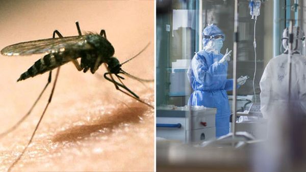 ഗുജറാത്തില്‍ ചന്ദിപുര വൈറസ് ബാധ പടരുന്നു; എട്ട് മരണം, ഏഴ് പേര്‍ ചികിത്സയില്‍