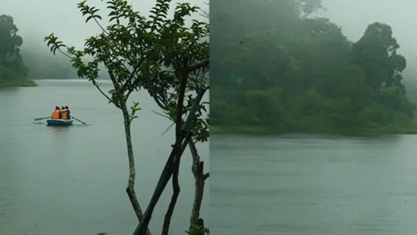 മഴയും ഗവിയും വിളിക്കുന്നു, കോട മഞ്ഞിന്റെ അകമ്പടിയോടെ ഒരു കിടിലൻ യാത്രയ്ക്ക്; 1400 രൂപ പാക്കേജ്