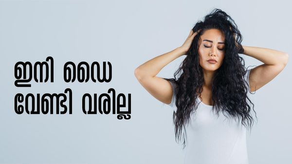 30 കള്‍ക്ക് ശേഷം മുടി നരയ്ക്കുന്നോ..? ആ പരാതി ഇനിയുണ്ടാകില്ല.. ഇവ കഴിച്ച് നോക്കൂ