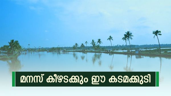 കടമക്കുടിയിൽ ചെന്നാൽ രണ്ടുണ്ട് കാര്യം; കൊച്ചിയിലും കറങ്ങാം, കായൽ കരയിലൂടെ ഉല്ലസിക്കുകയും ചെയ്യാം