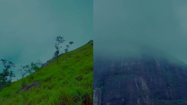 മഞ്ഞുമൂടിയ കൂനിച്ചിമല, അമ്പൂരിയിലെ മിനി പൊൻമുടി; ഇവിടുത്തെ ട്രെക്കിംഗ് ഒന്നൊന്നര അനുഭവം തന്നെ 