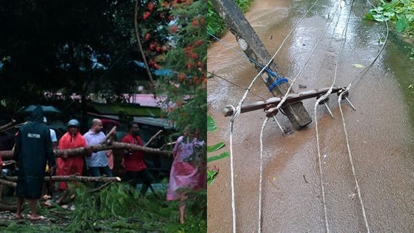മരങ്ങൾ വീണ് വൈദ്യുതി കമ്പികൾ പൊട്ടിയോ? അപകട സാധ്യത..ഈ നമ്പറിൽ വിളിക്കാം; കെഎസ്ഇബി