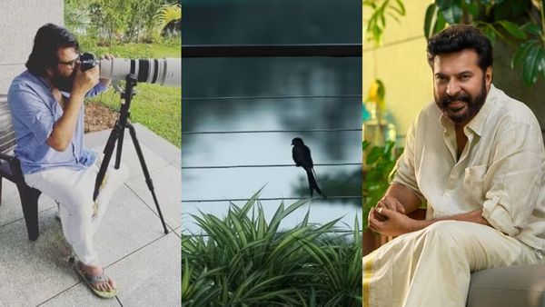 മമ്മൂട്ടിയുടെ ആ ബുൾബുൾ ഫോട്ടോ ലേലത്തിൽ പോയി; എത്ര ലക്ഷം കിട്ടിയെന്ന് അറിയുമോ? ഞെട്ടിച്ച് കോട്ടക്കൽ സ്വദേശി