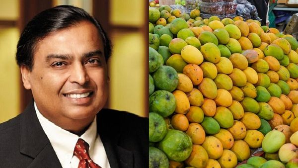 ആഹാ അംബാനിക്ക് കൃഷിയും വശമുണ്ടോ? മാമ്പഴ കയറ്റുമതിയിലും നമ്പർ വൺ, 600 ഏക്കറിൽ 1.3 ലക്ഷം മരങ്ങൾ   