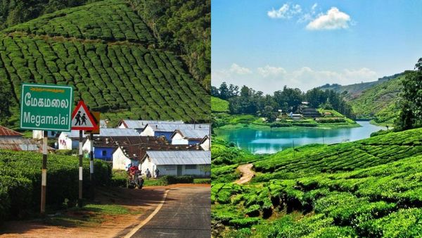 ഇത് ഊട്ടിയല്ല, മേഘമല; മൂടൽ മഞ്ഞ് കാഴ്‌ച മറയ്‌ക്കുന്ന ഇടം, 18 ഹെയർപിൻ വളവുകൾ കയറി ഒരു യാത്ര പോവാം