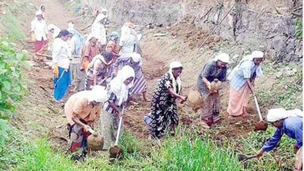 തൊഴിലുറപ്പ് പദ്ധതി: 4499 തൊഴില്‍ കാര്‍ഡുകള്‍ റദ്ദാക്കി, ആനുകൂല്യങ്ങള്‍ ഇല്ലാതാക്കാനെന്ന് ആരോപണം