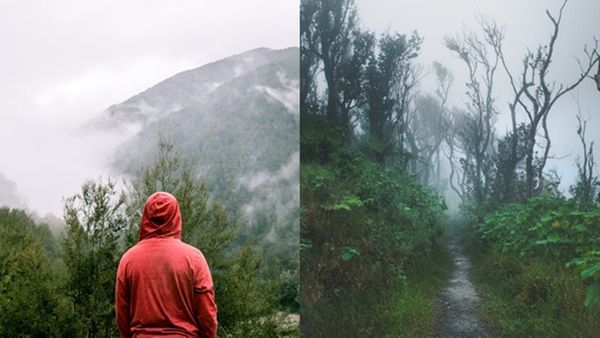 കോരിച്ചൊരിയുന്ന മഴയിൽ ബാഗ് പാക്ക് ചെയ്തിറങ്ങാം; ചെലവ് 500 രൂപയിൽ താഴെ, ഇതാ മൺസൂൺ യാത്രകൾ