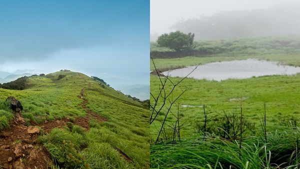 കണ്ണൂരിലെ ട്രെക്കിംഗ് പാരഡൈസ്; പൈതൽമല കയറിയാൽ കേരളവും കർണാടകയും ഒരുപോലെ കാണാം...