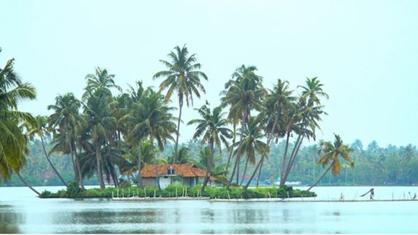 1000 രൂപ പോലും വേണ്ട, കായൽ ഭംഗി ആസ്വദിച്ചൊരു യാത്ര.. ഭക്ഷണവും ഒരു ദിവസം മുഴുവൻ  കാഴ്ചകളുമായി അടിപൊളി പാക്കേജ്