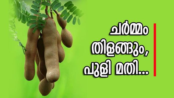 മുഖം തിളങ്ങാൻ പുളി കാെണ്ട്  ഫേസ് പായ്ക്ക്; വീട്ടിൽ എളുപ്പത്തിൽ തയ്യാറാക്കാം ഈ 3  ഫേസ് പായ്ക്കുകൾ
