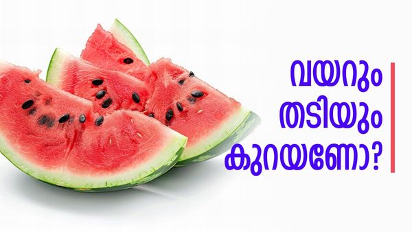 വണ്ണവും കുറയും, ചാടിയ വയർ ഒതുങ്ങി ശരീരം നല്ല ഷേയ്പ്പാവുകയും ചെയ്യും; തണ്ണിമത്തൻ കുരു ചില്ലറക്കാരനല്ല