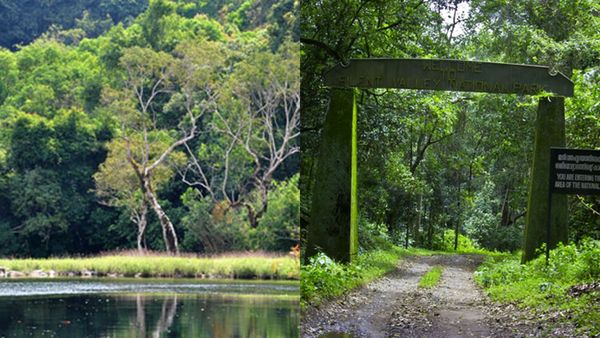 സൈലന്റ് വാലിയിലൂടെ ഇനി വൈകീട്ടൊരു സഫാരി ആയാലോ? വേറെ വൈബാണ് കാട്ടിലെ സായാഹ്ന കാഴ്ചകൾ