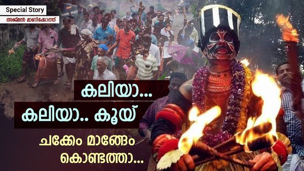 'കലിയാ... കലിയാ.. കൂയ്': കാർഷിക സംസ്കൃതിയുടെ ഓർമ്മപുതുക്കി, കലിയനെ വരവേറ്റ് നാട്ടിന്‍പുറങ്ങള്‍