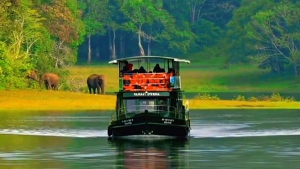 ഇടതൂർന്ന ഇലപൊഴിയും വനത്തിലൂടെ ഇനി ബഗ്ഗി കാറിൽ പറക്കാം; തേക്കടി കാഴ്ച കാണാൻ വേണ്ടത് വെറും 200 രൂപ