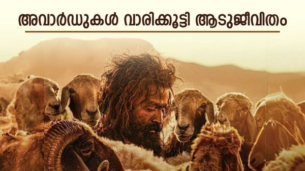 മികച്ച നടൻ, സംവിധായകൻ, ജനപ്രിയ സിനിമ; അവാർഡുകൾ വാരിക്കൂട്ടി ഞെട്ടിച്ച് ആടുജീവിതം