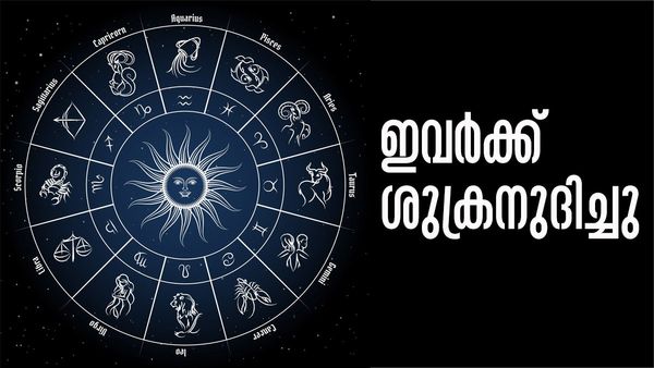 ഈ രാശിക്കാര്‍ക്ക് ശുക്രനുദിച്ചു; കൈനിറയെ സ്വര്‍ണം, ആസ്തി രണ്ടിരട്ടിയാകും... ശമ്പളവും കൂടും!