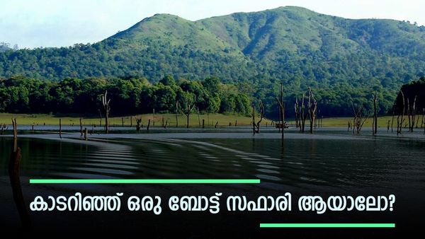 പെരിയാറിന്റെ ഓളപരപ്പിലൂടെ എല്ലാം മറന്നൊരു യാത്ര; തേക്കടിയുടെ കാഴ്‌ചകൾ മനം മയക്കും, ബോട്ടിംഗ് മറക്കല്ലേ