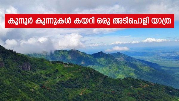 ഊട്ടിയുടെ സഹോദരി, കൂനൂരിൽ പോയിട്ടുണ്ടോ? തേയിലത്തോട്ടങ്ങളും നീലഗിരി മൗണ്ടൻ റെയിലും ആസ്വദിക്കാം